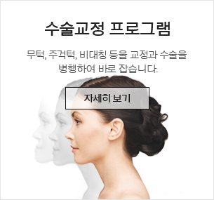 수술교정프로그램